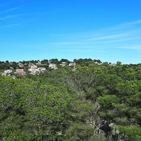 Flamenc Javea